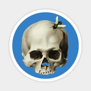 Skull with a fly around Magnet